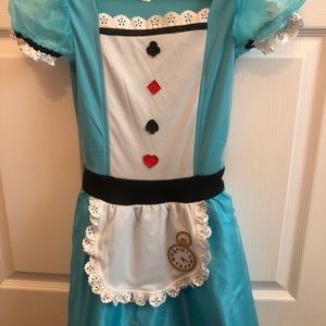 Alice in Wonderland costume ( gently used)